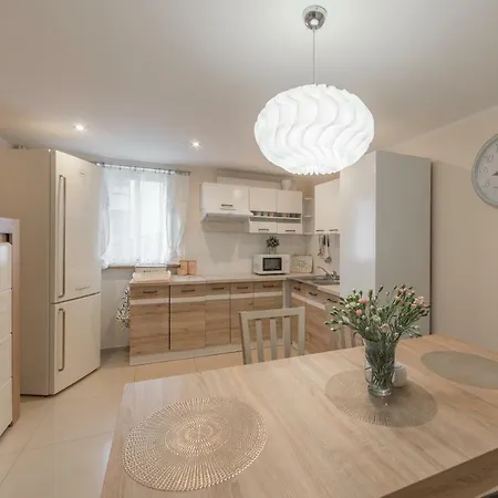Apartament Przy Lesie دوشنيكي زدروي